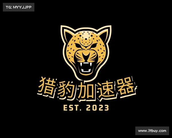 发现猎豹加速器